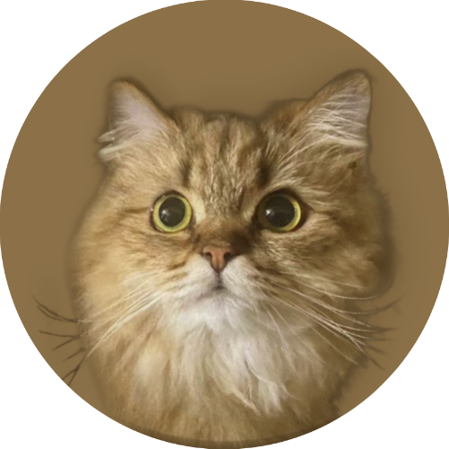 Birthday Cat